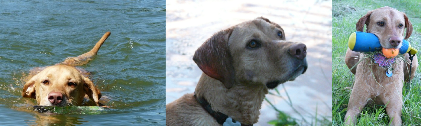 Daddy, a nagyszájú